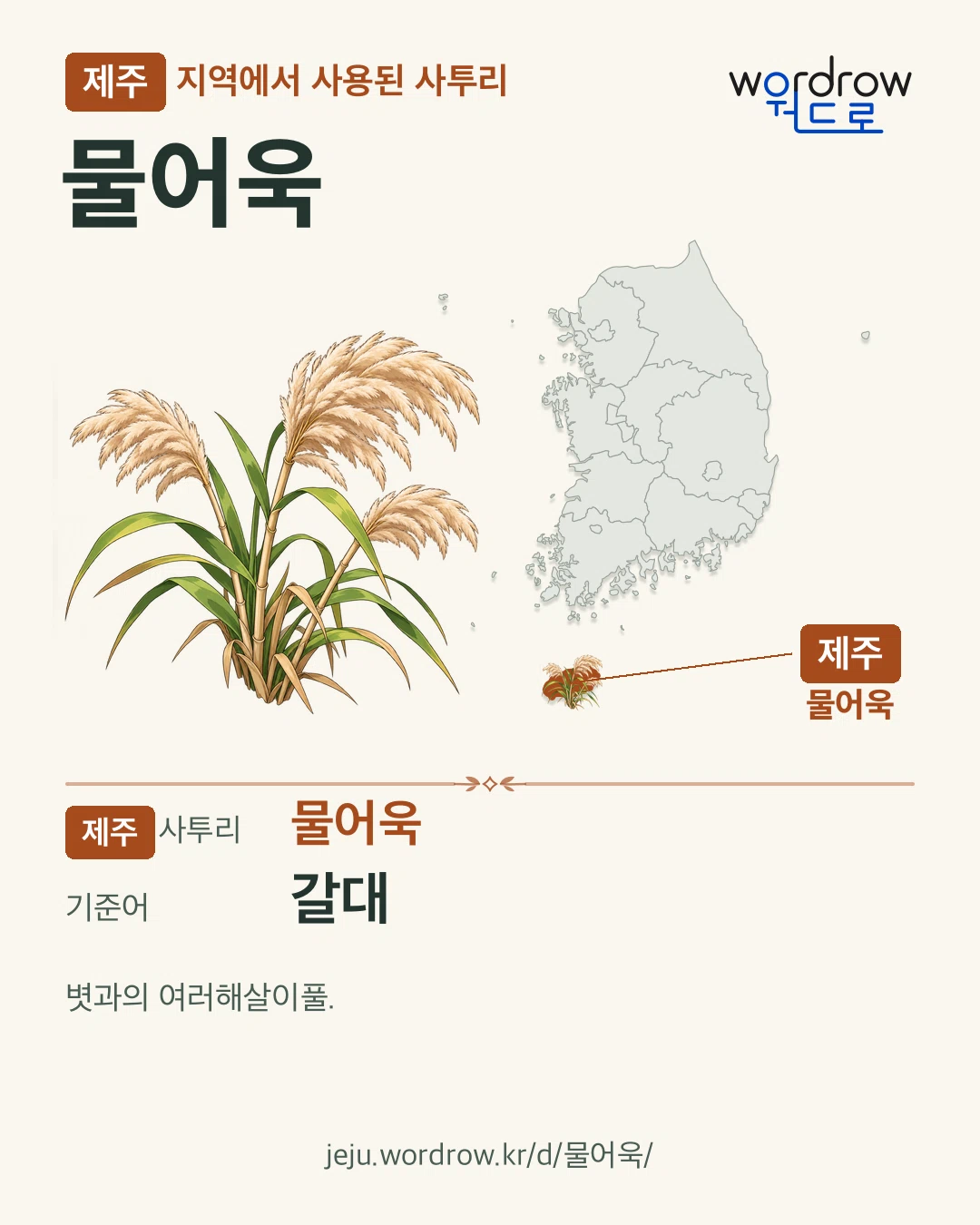 제주 지역에서 사용된 사투리 ‘물어욱’. 기준어: 갈대. 기록 지역을 표시한 카툰 삽화와 지도 카드.