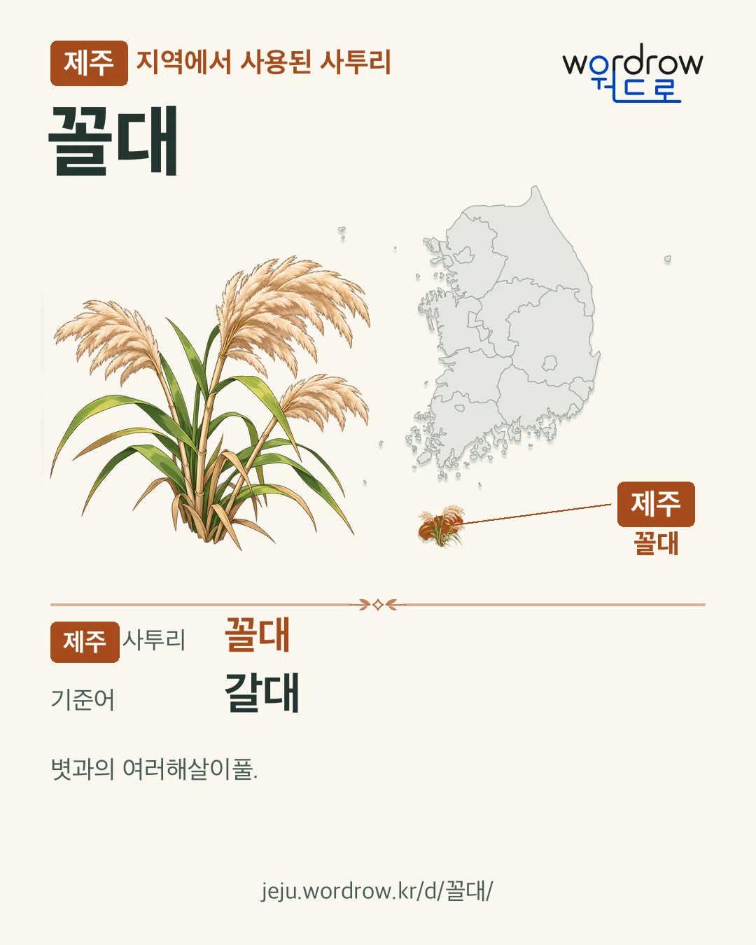 제주 지역에서 사용된 사투리 ‘꼴대’. 기준어: 갈대. 기록 지역을 표시한 카툰 삽화와 지도 카드.