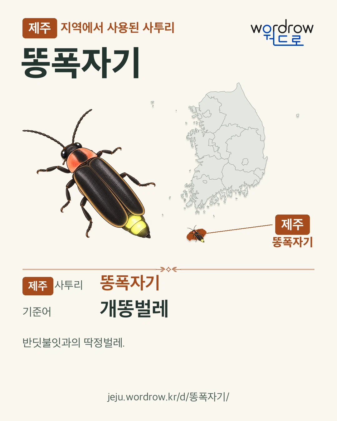 제주 지역에서 사용된 사투리 ‘똥폭자기’. 기준어: 개똥벌레. 기록 지역을 표시한 카툰 삽화와 지도 카드.