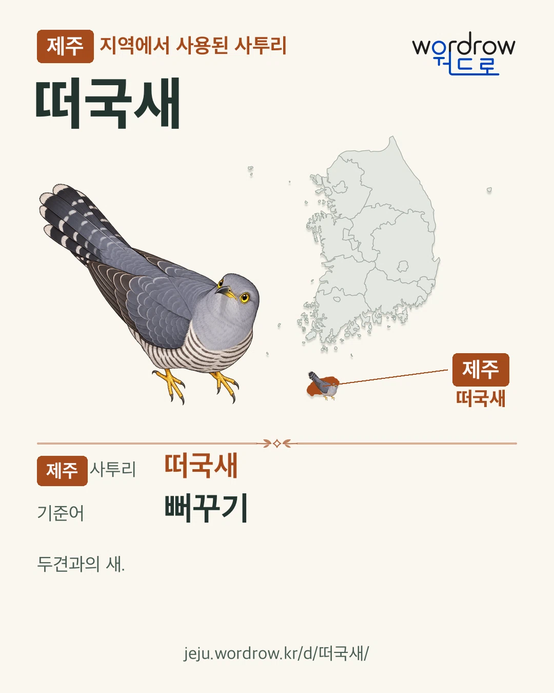 제주 지역에서 사용된 사투리 ‘떠국새’. 기준어: 뻐꾸기. 기록 지역을 표시한 카툰 삽화와 지도 카드.
