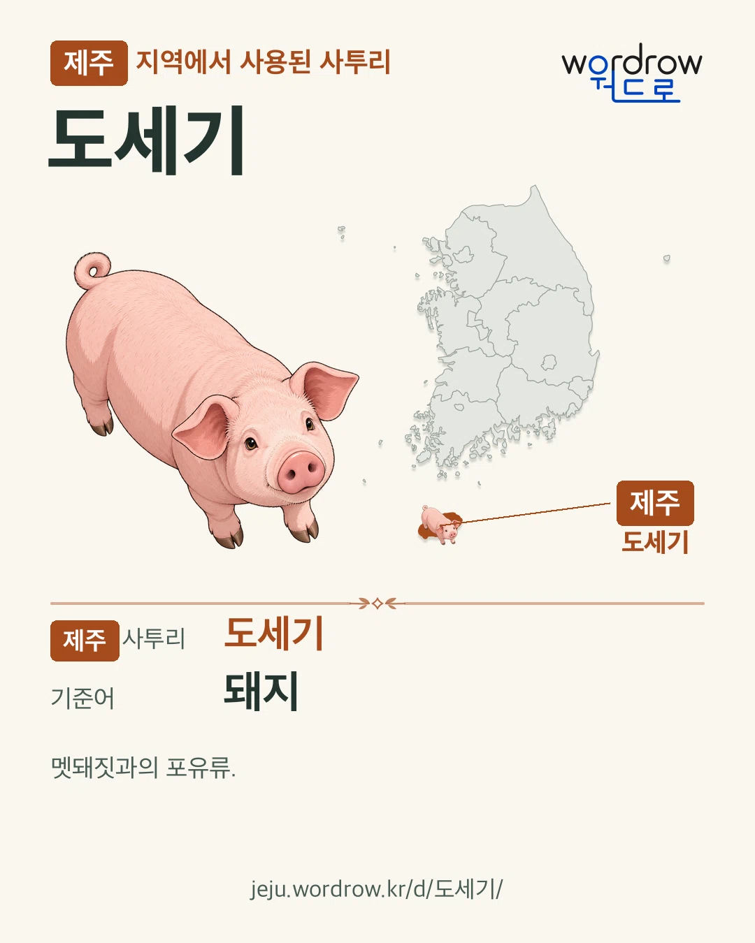 제주 지역에서 사용된 사투리 ‘도세기’. 기준어: 돼지. 기록 지역을 표시한 카툰 삽화와 지도 카드.