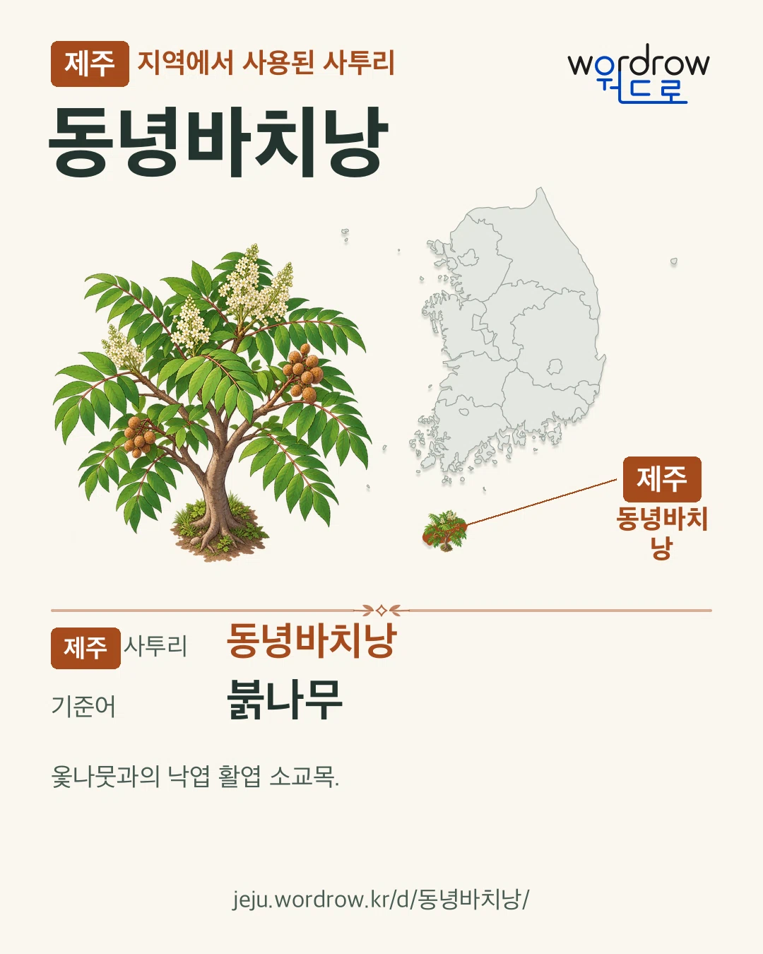 제주 지역에서 사용된 사투리 ‘동녕바치낭’. 기준어: 붉나무. 기록 지역을 표시한 카툰 삽화와 지도 카드.