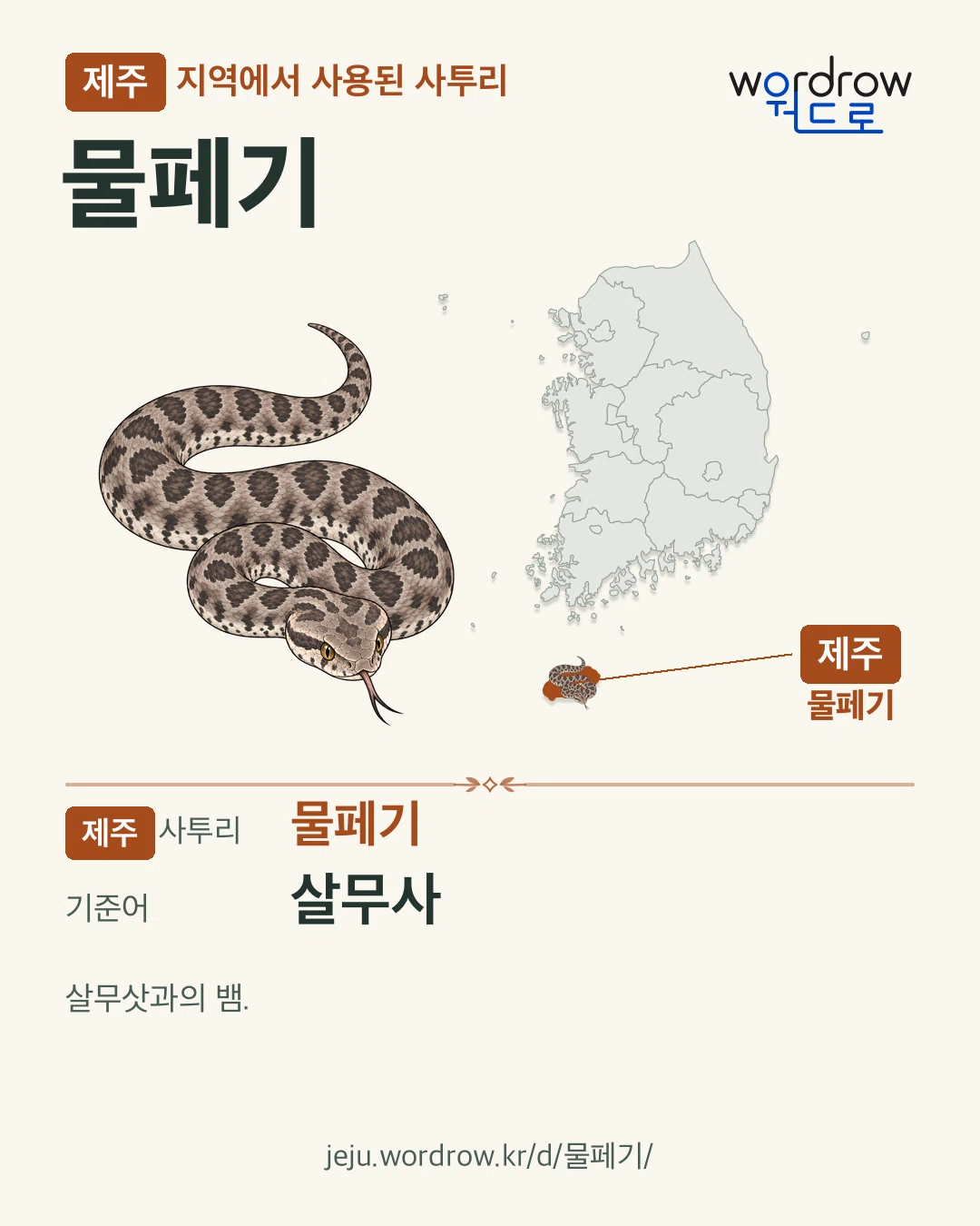 제주 지역에서 사용된 사투리 ‘물페기’. 기준어: 살무사. 기록 지역을 표시한 카툰 삽화와 지도 카드.