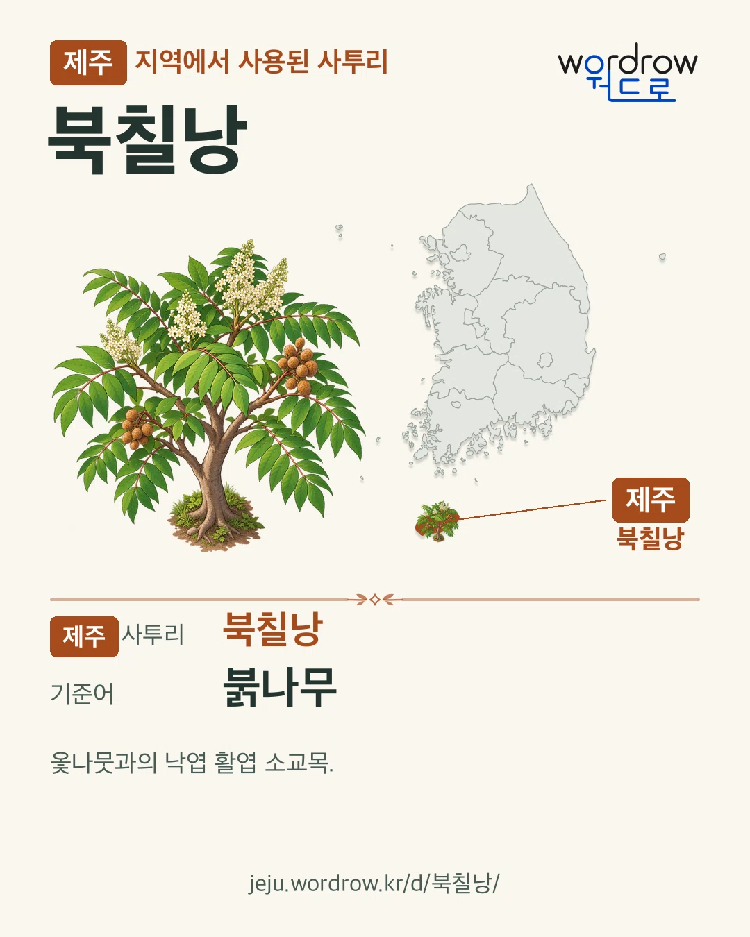 제주 지역에서 사용된 사투리 ‘북칠낭’. 기준어: 붉나무. 기록 지역을 표시한 카툰 삽화와 지도 카드.