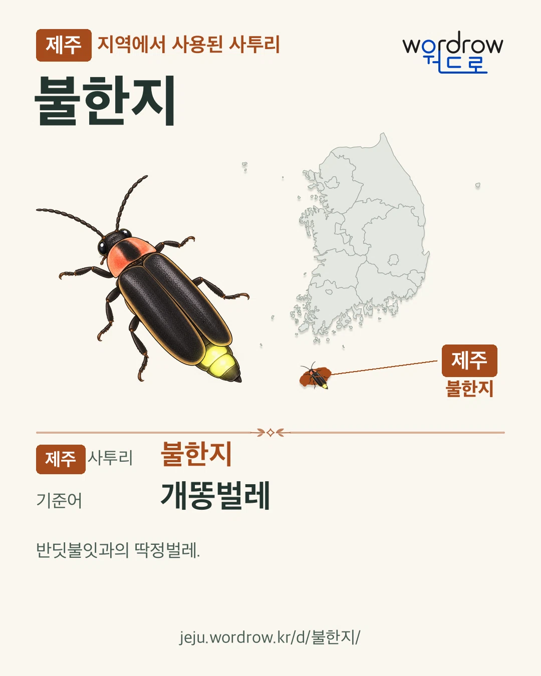제주 지역에서 사용된 사투리 ‘불한지’. 기준어: 개똥벌레. 기록 지역을 표시한 카툰 삽화와 지도 카드.