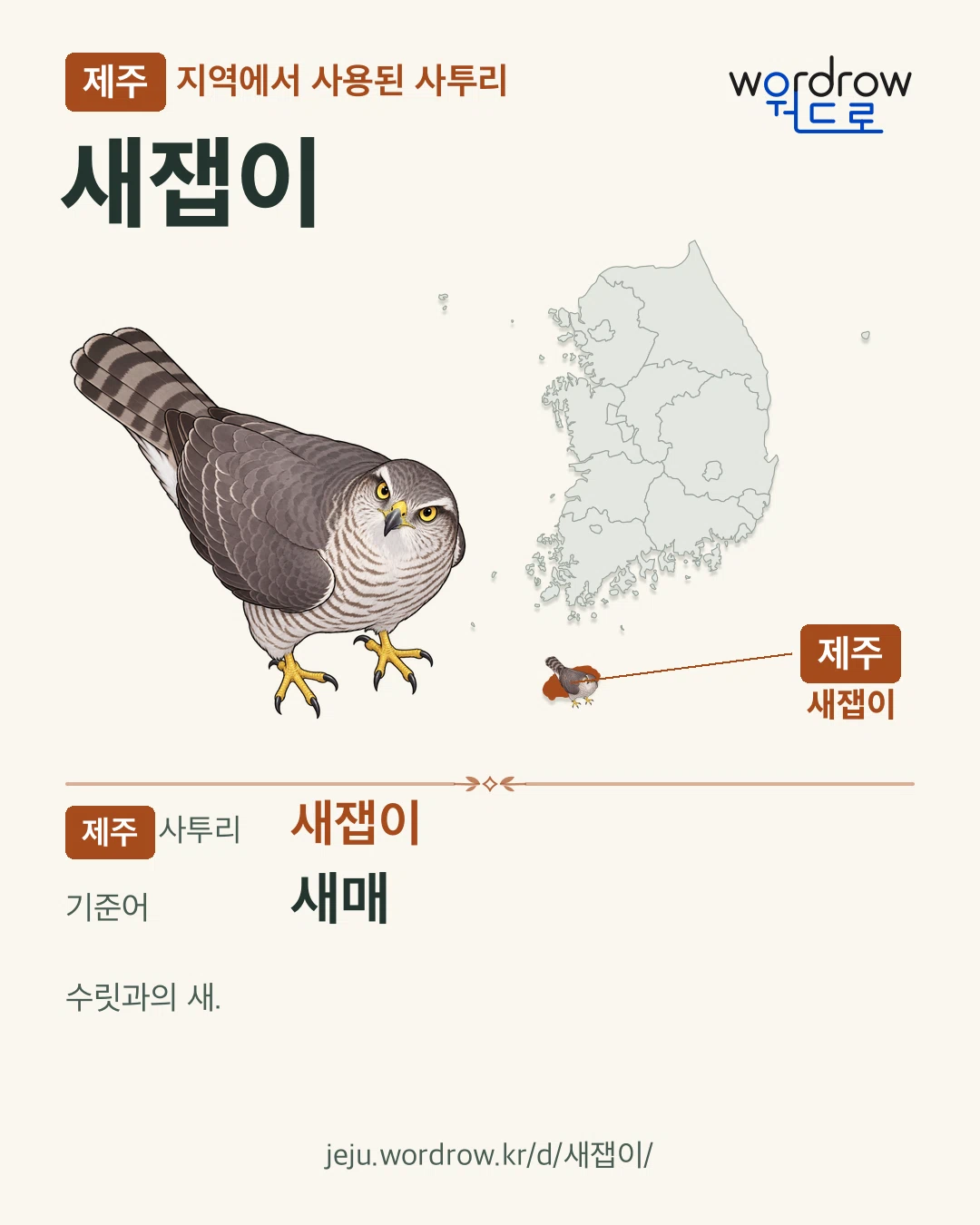 제주 지역에서 사용된 사투리 ‘새잽이’. 기준어: 새매. 기록 지역을 표시한 카툰 삽화와 지도 카드.