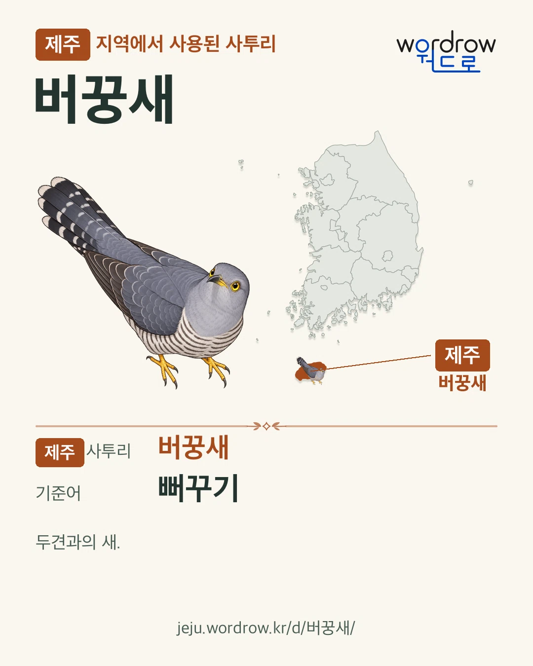 제주 지역에서 사용된 사투리 ‘버꿍새’. 기준어: 뻐꾸기. 기록 지역을 표시한 카툰 삽화와 지도 카드.