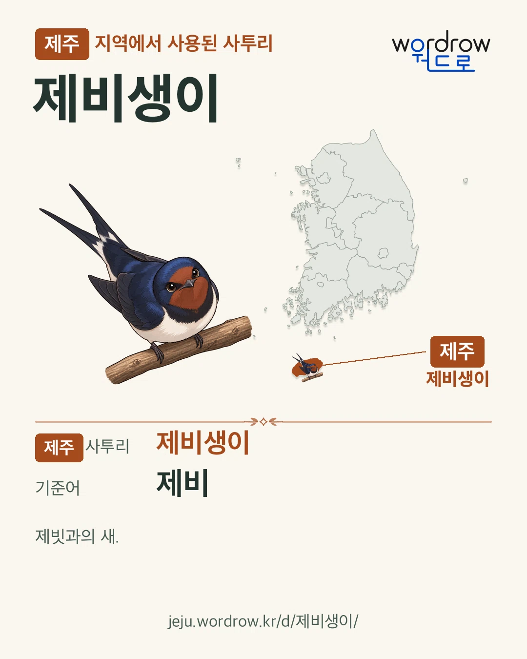 제주 지역에서 사용된 사투리 ‘제비생이’. 기준어: 제비. 기록 지역을 표시한 카툰 삽화와 지도 카드.