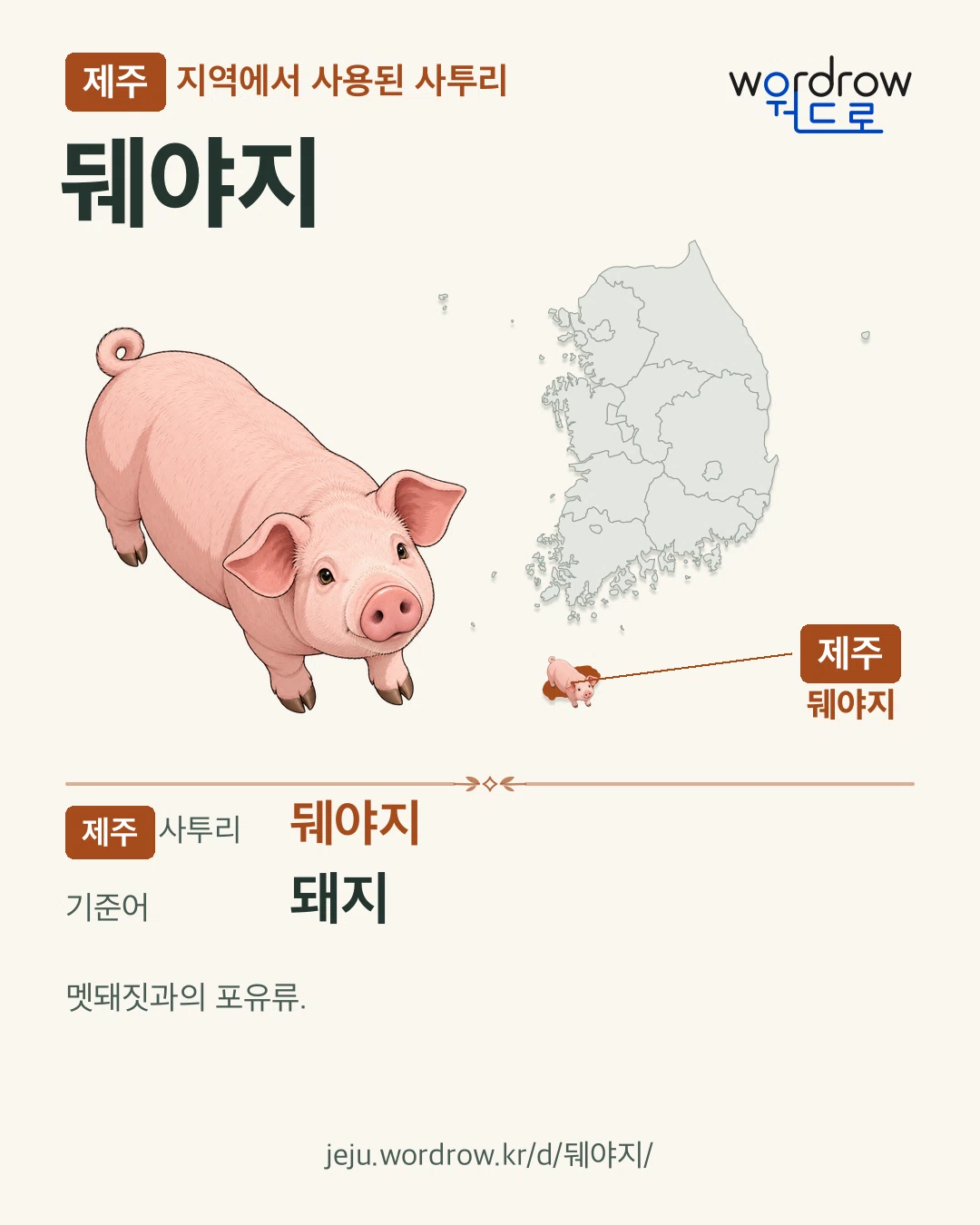 제주 지역에서 사용된 사투리 ‘뒈야지’. 기준어: 돼지. 기록 지역을 표시한 카툰 삽화와 지도 카드.