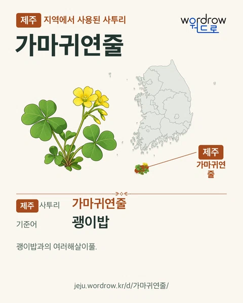 제주 지역에서 사용된 사투리 ‘가마귀연줄’. 기준어: 괭이밥. 기록 지역을 표시한 카툰 삽화와 지도 카드.