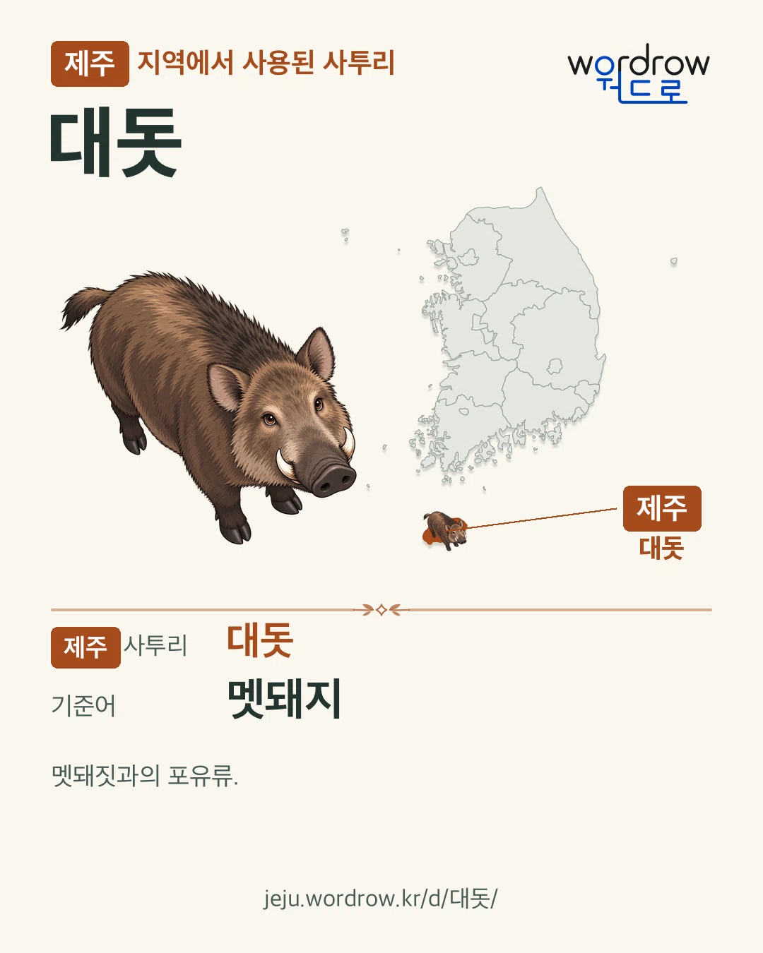 제주 지역에서 사용된 사투리 ‘대돗’. 기준어: 멧돼지. 기록 지역을 표시한 카툰 삽화와 지도 카드.