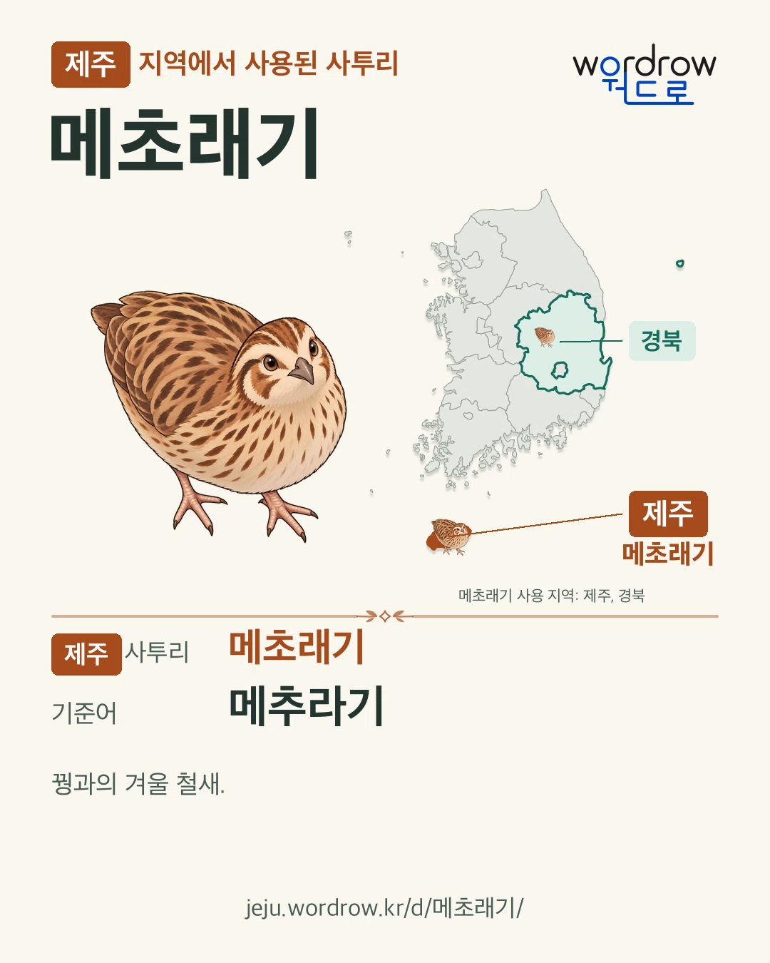 제주 지역에서 사용된 사투리 ‘메초래기’. 기준어: 메추라기. 기록 지역을 표시한 카툰 삽화와 지도 카드.