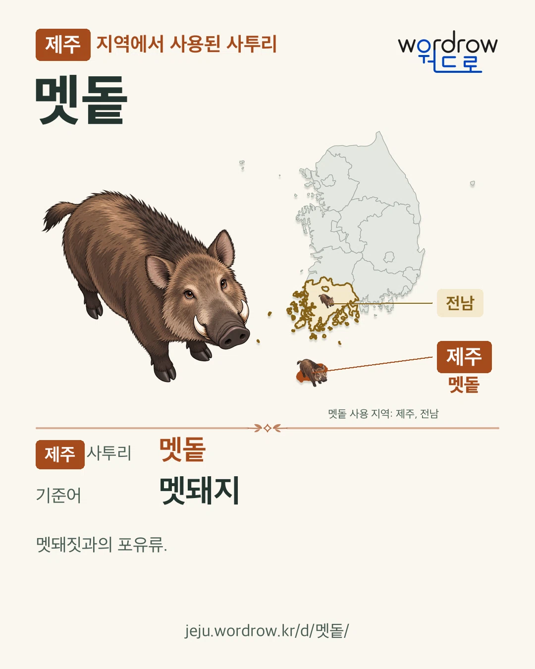 제주 지역에서 사용된 사투리 ‘멧돝’. 기준어: 멧돼지. 기록 지역을 표시한 카툰 삽화와 지도 카드.