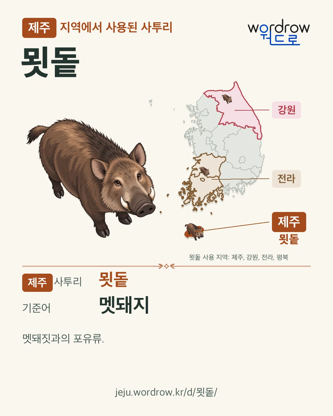 제주 지역에서 사용된 사투리 ‘묏돝’. 기준어: 멧돼지. 기록 지역을 표시한 카툰 삽화와 지도 카드.