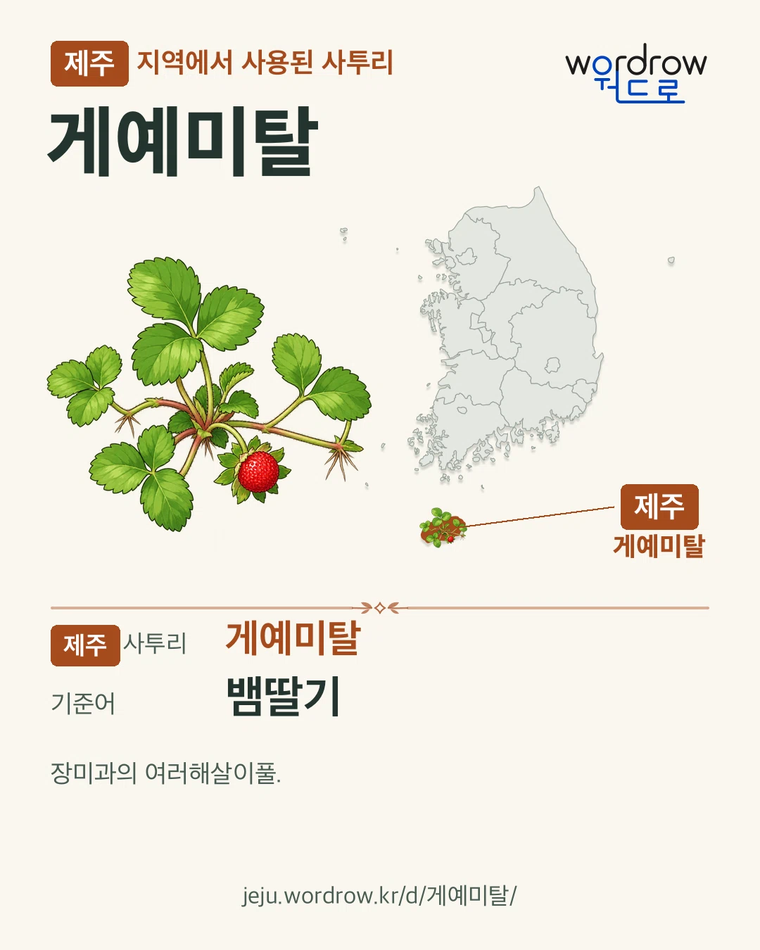 제주 지역에서 사용된 사투리 ‘게예미탈’. 기준어: 뱀딸기. 기록 지역을 표시한 카툰 삽화와 지도 카드.