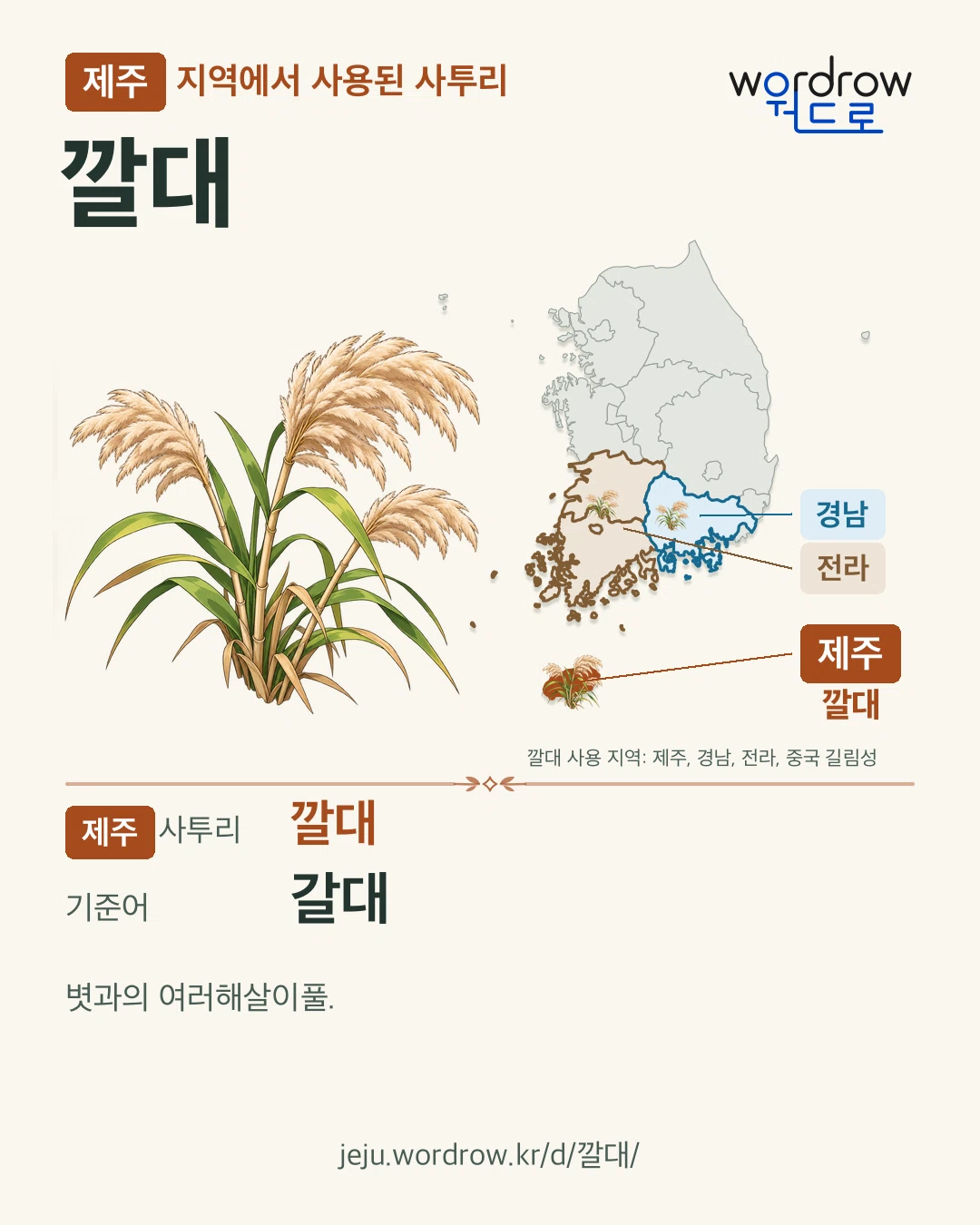 제주 지역에서 사용된 사투리 ‘깔대’. 기준어: 갈대. 기록 지역을 표시한 카툰 삽화와 지도 카드.