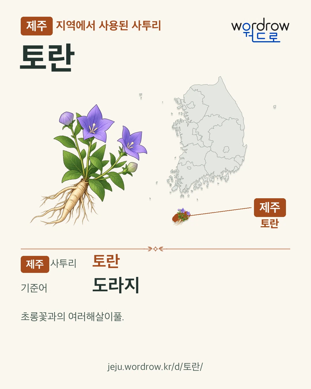 제주 지역에서 사용된 사투리 ‘토란’. 기준어: 도라지. 기록 지역을 표시한 카툰 삽화와 지도 카드.