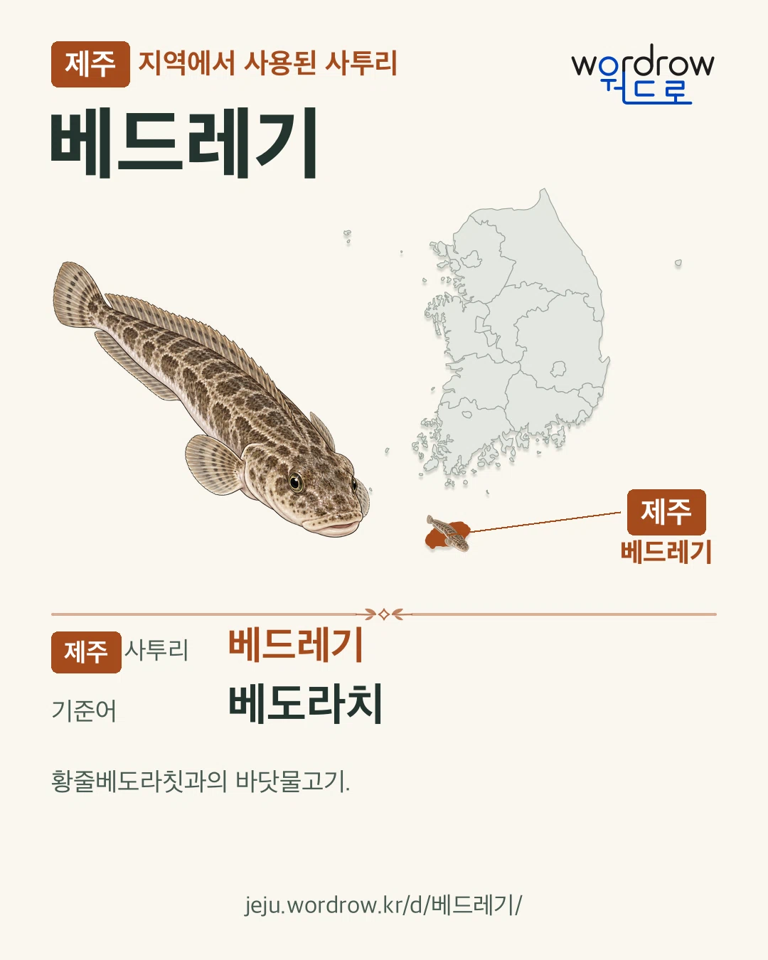 제주 지역에서 사용된 사투리 ‘베드레기’. 기준어: 베도라치. 기록 지역을 표시한 카툰 삽화와 지도 카드.