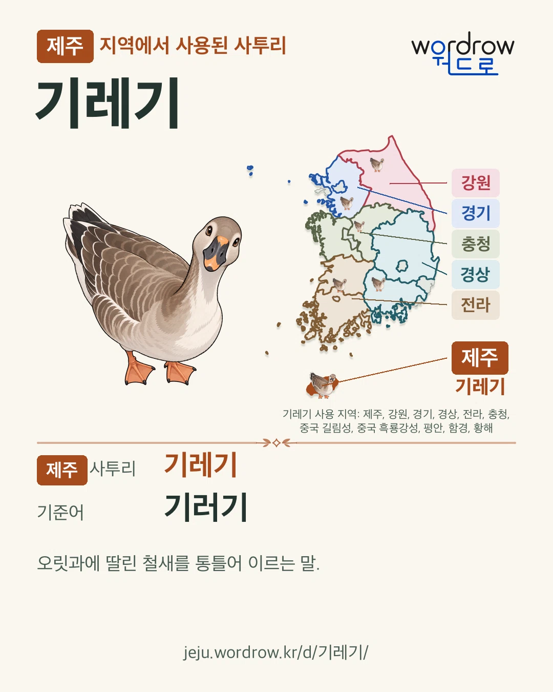 제주 지역에서 사용된 사투리 ‘기레기’. 기준어: 기러기. 기록 지역을 표시한 카툰 삽화와 지도 카드.