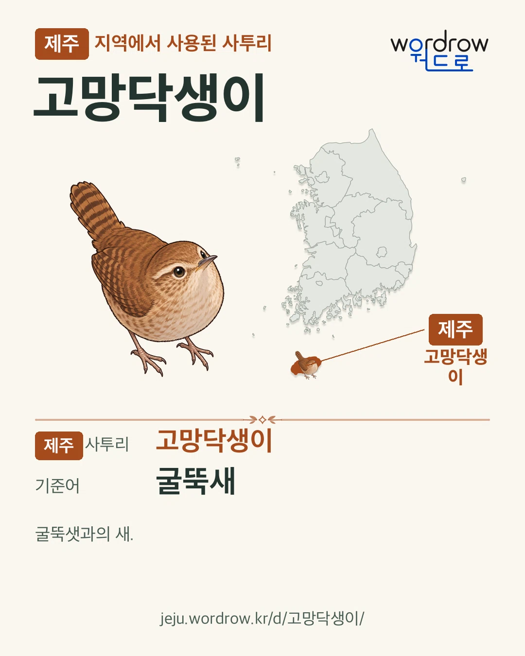 제주 지역에서 사용된 사투리 ‘고망닥생이’. 기준어: 굴뚝새. 기록 지역을 표시한 카툰 삽화와 지도 카드.