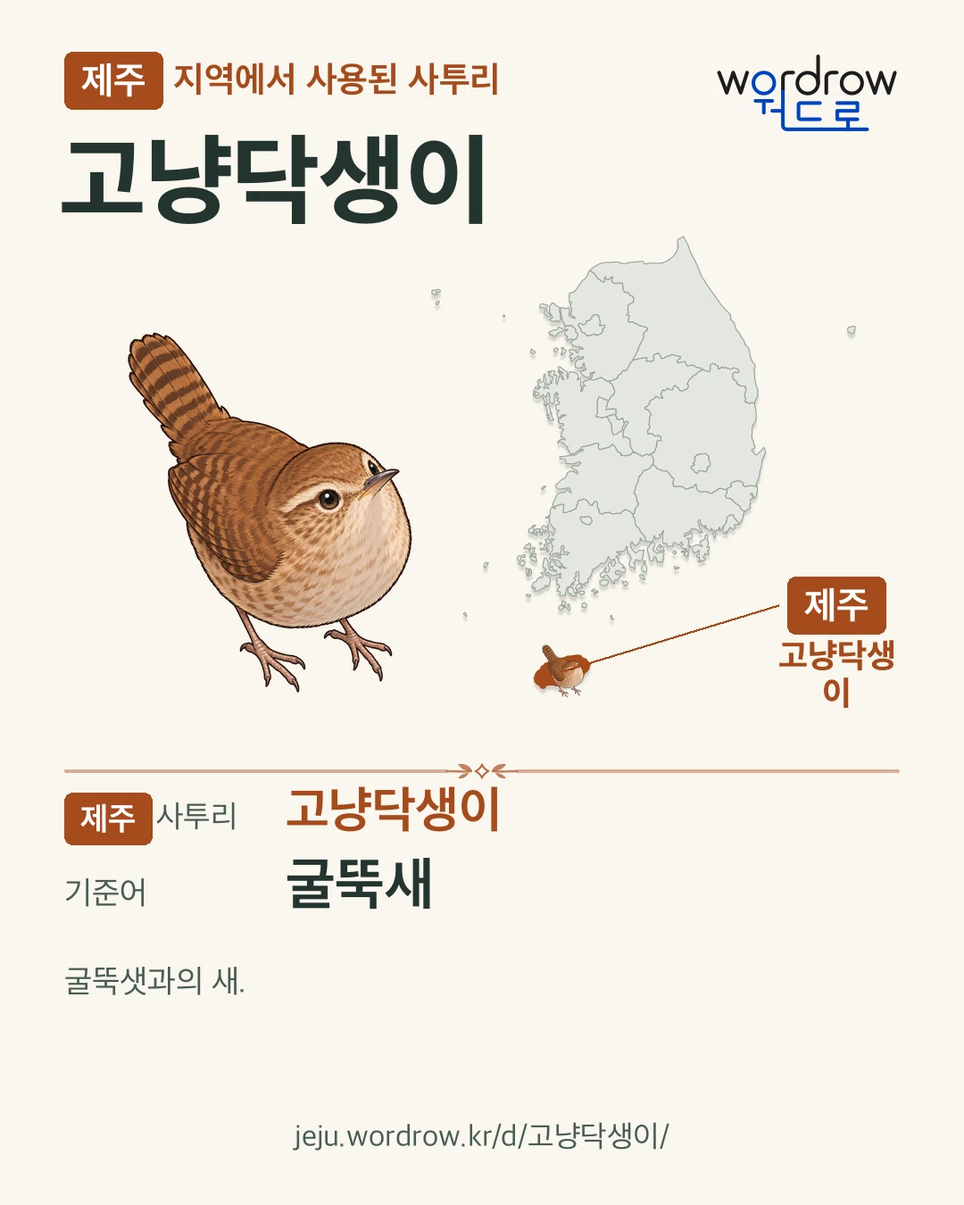 제주 지역에서 사용된 사투리 ‘고냥닥생이’. 기준어: 굴뚝새. 기록 지역을 표시한 카툰 삽화와 지도 카드.