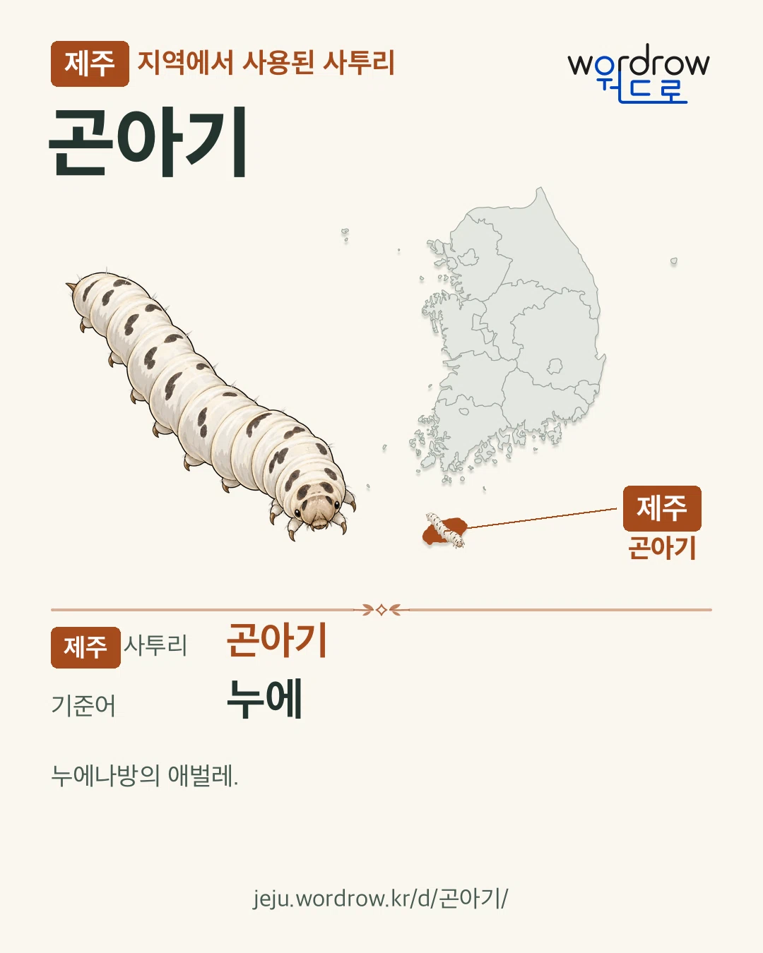 제주 지역에서 사용된 사투리 ‘곤아기’. 기준어: 누에. 기록 지역을 표시한 카툰 삽화와 지도 카드.