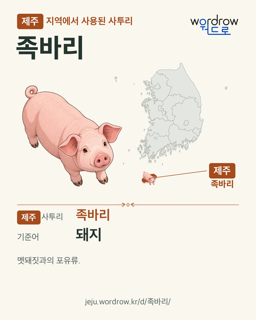 제주 지역에서 사용된 사투리 ‘족바리’. 기준어: 돼지. 기록 지역을 표시한 카툰 삽화와 지도 카드.