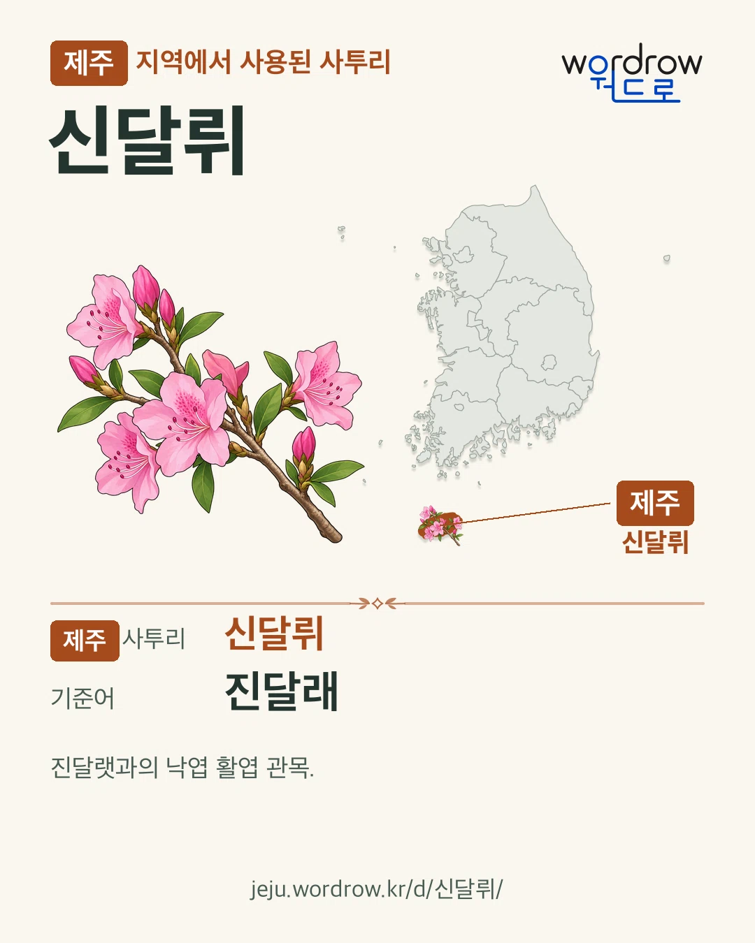 제주 지역에서 사용된 사투리 ‘신달뤼’. 기준어: 진달래. 기록 지역을 표시한 카툰 삽화와 지도 카드.