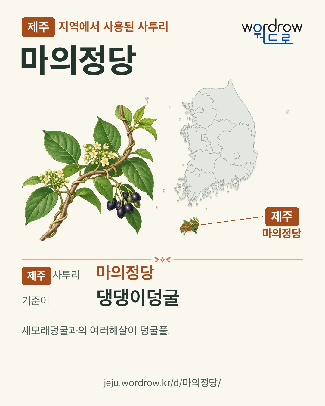 제주 지역에서 사용된 사투리 ‘마의정당’. 기준어: 댕댕이덩굴. 기록 지역을 표시한 카툰 삽화와 지도 카드.