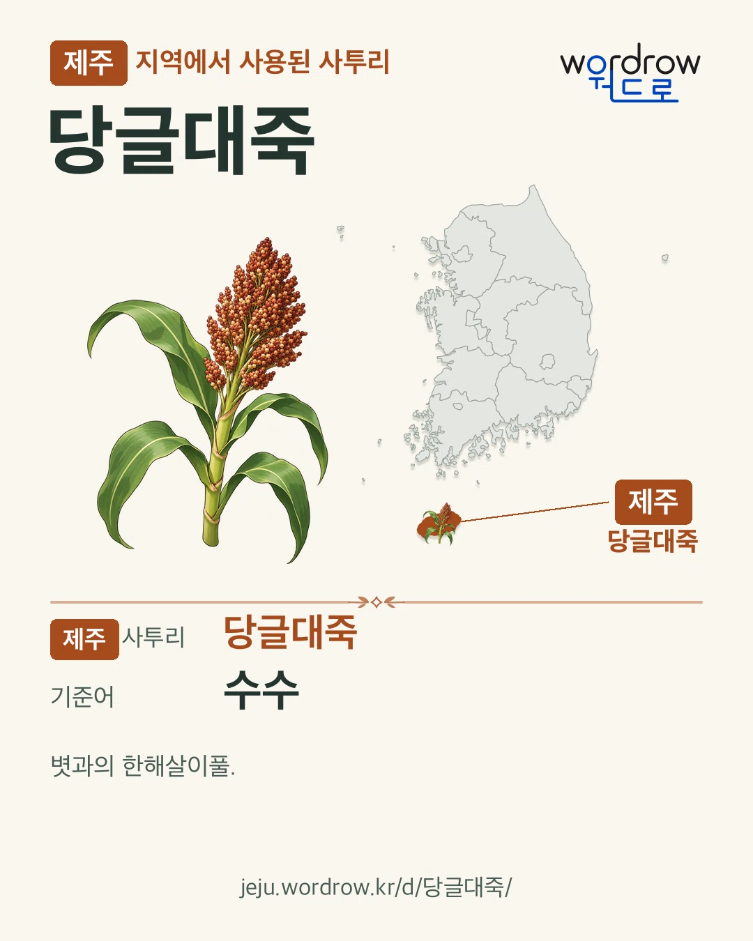 제주 지역에서 사용된 사투리 ‘당글대죽’. 기준어: 수수. 기록 지역을 표시한 카툰 삽화와 지도 카드.