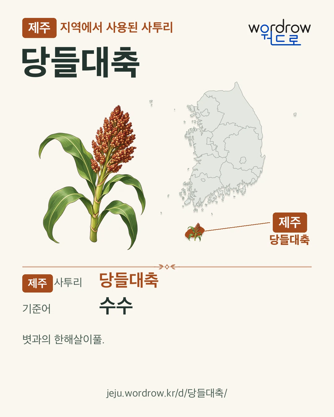 제주 지역에서 사용된 사투리 ‘당들대축’. 기준어: 수수. 기록 지역을 표시한 카툰 삽화와 지도 카드.