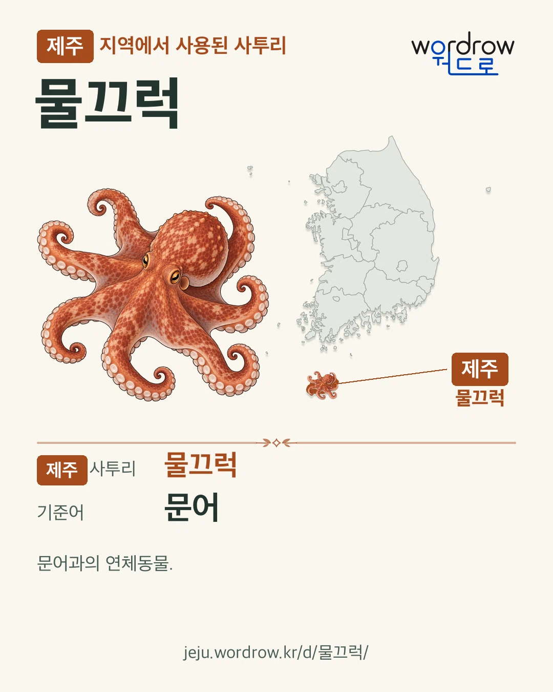 제주 지역에서 사용된 사투리 ‘물끄럭’. 기준어: 문어. 기록 지역을 표시한 카툰 삽화와 지도 카드.