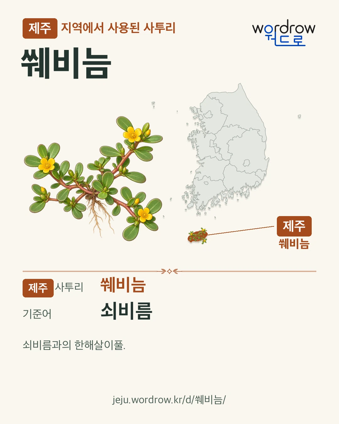 제주 지역에서 사용된 사투리 ‘쒜비늠’. 기준어: 쇠비름. 기록 지역을 표시한 카툰 삽화와 지도 카드.