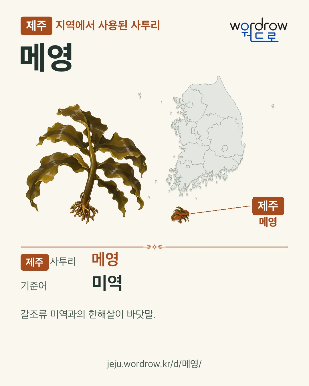 제주 지역에서 사용된 사투리 ‘메영’. 기준어: 미역. 기록 지역을 표시한 카툰 삽화와 지도 카드.