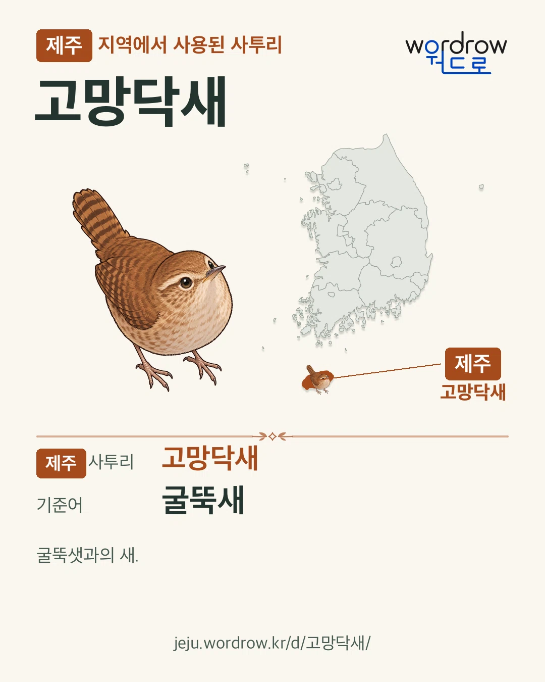제주 지역에서 사용된 사투리 ‘고망닥새’. 기준어: 굴뚝새. 기록 지역을 표시한 카툰 삽화와 지도 카드.