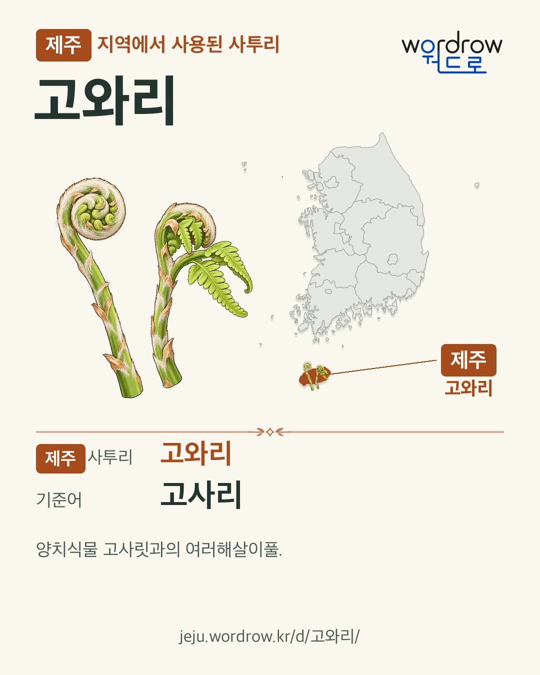 제주 지역에서 사용된 사투리 ‘고와리’. 기준어: 고사리. 기록 지역을 표시한 카툰 삽화와 지도 카드.