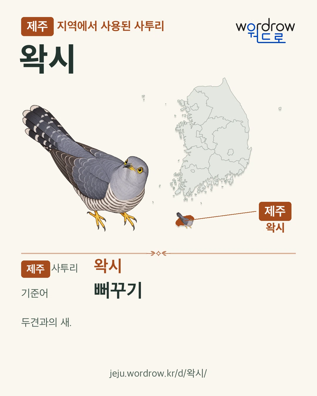 제주 지역에서 사용된 사투리 ‘왁시’. 기준어: 뻐꾸기. 기록 지역을 표시한 카툰 삽화와 지도 카드.