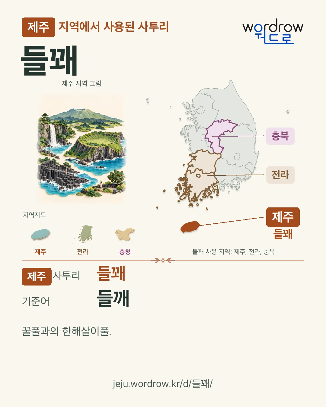 제주 지역에서 사용된 사투리 ‘들꽤’. 기준어: 들깨. 기록 지역을 표시한 지역 그림과 지도 카드.