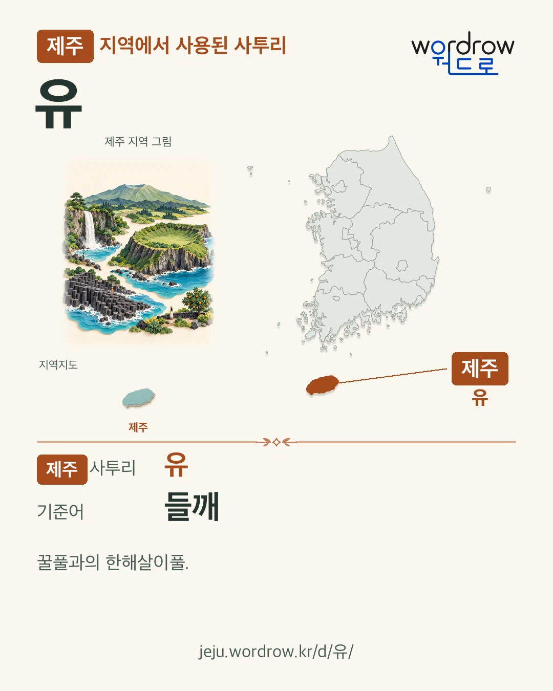 제주 지역에서 사용된 사투리 ‘유’. 기준어: 들깨. 기록 지역을 표시한 지역 그림과 지도 카드.